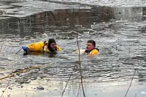 DON'T WALK ON ICE: Dog Dies After Falling Through Semi-Frozen Everett River