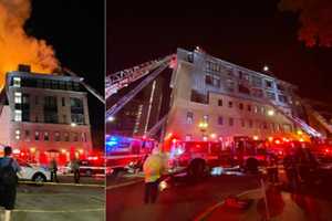 50 Residents, Pets Displaced By Overnight 3-Alarm Fire In Roxbury