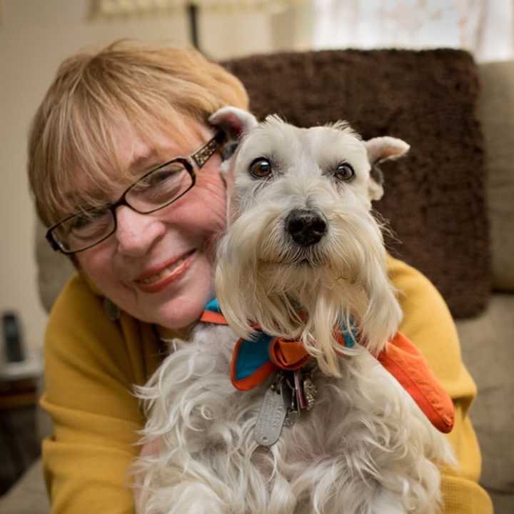 Ava, a schnauzer, provides therapy in special-needs settings, often with children on the autism spectrum.