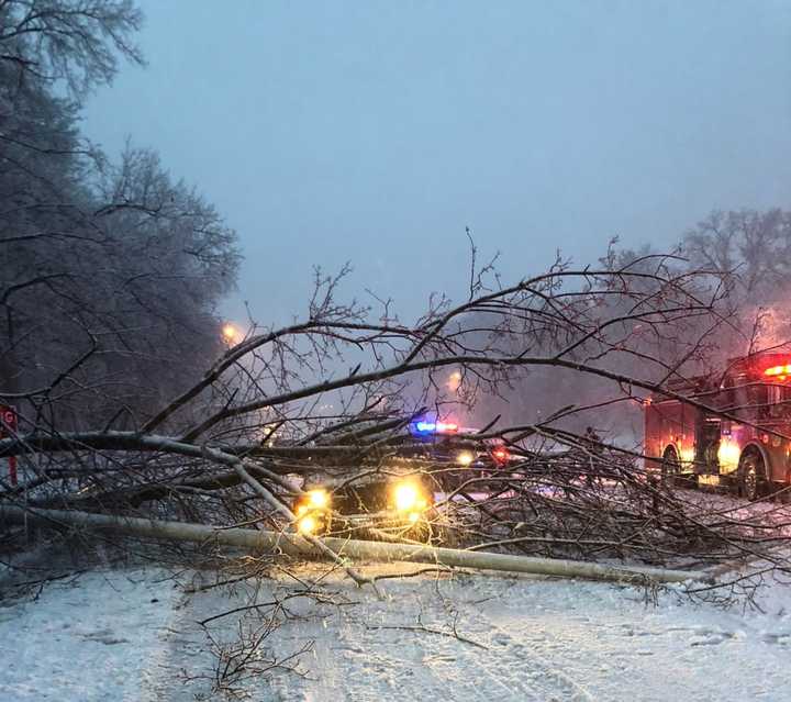 There are downed trees throughout the tri-state area, a week after the initial storm struck.