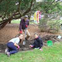 <p>The New Jersey State Botanical Garden in Ringwood is having its annual daffodil planting Oct. 15.</p>