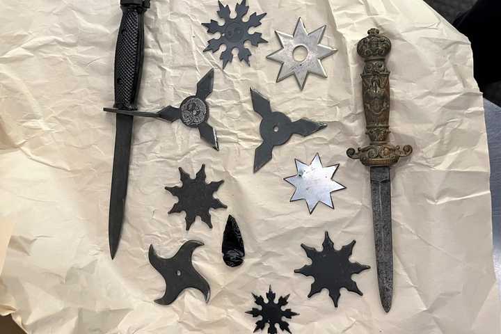 Man Tried To Board Plane At Logan Airport Geared For Ancient War: TSA