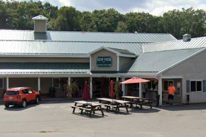 Nor'easter Wrecks Dracut Dairy's Barn, Killing Cows