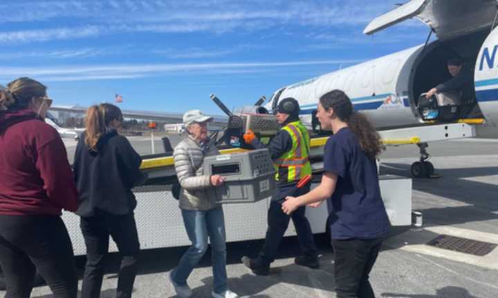 The MSPCA greeted the rescue cats at the airport in New Bedford.