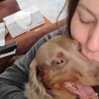 <p>Amanda Howell lost her dog, Oddie, in the fire.</p>