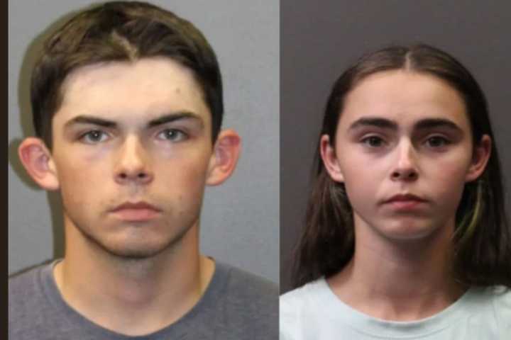 Cohasset Pair, Child Nabbed For Vandalism In Hull