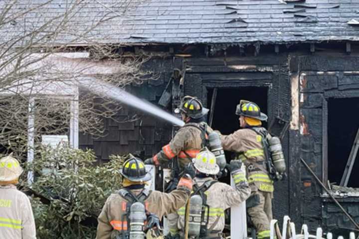 Pet Cat Dies, Another Rescued In Dracut Fire That Displaced Family Of 4