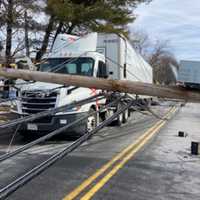 <p>The scene of an incident on Montvale Avenue between Lindenwood Road and Maple Street in which seven utility poles all fell over at the same time.</p>