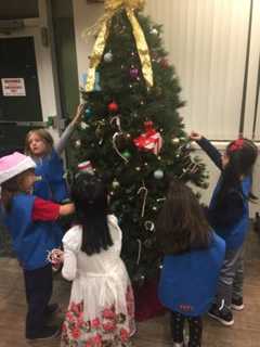 Saddle Brook Daisies Spread Christmas Cheer