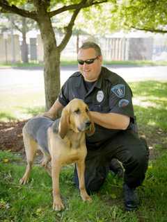 Police In MA Announce Death Of Retired K9 Who Served Department For Years