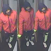 Man Steals Food Delivery Driver's Car At Long Island Motel, Police Say