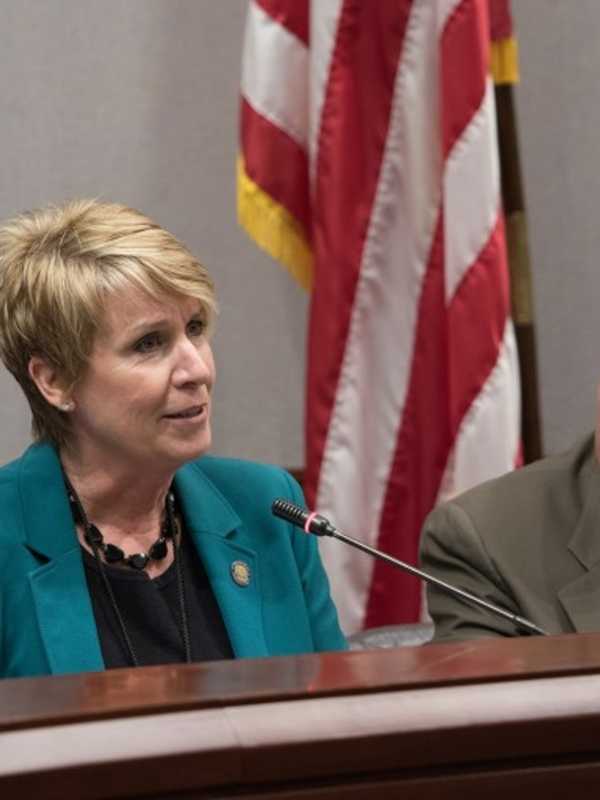 Trumbull Legislators Tackle Questions From Business Leaders