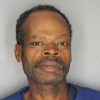 Hudson Valley Man Admits To Burning Cat, Kitten To Death