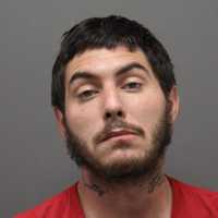 Driver Whose Dog Bit Deputy During Loudoun County Pursuit In Stolen Car Sentenced
