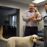 <p>Richard Delaney holds Cooper and Jonathan Seidman holds Mr. Chops as Sunny looks on, at Delaney Computer Services in Mahwah.</p>