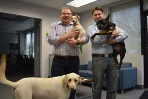 Mahwah Office Is Doggone Wild