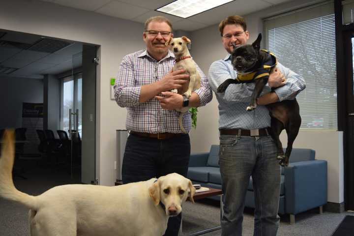 Mahwah Office Is Doggone Wild