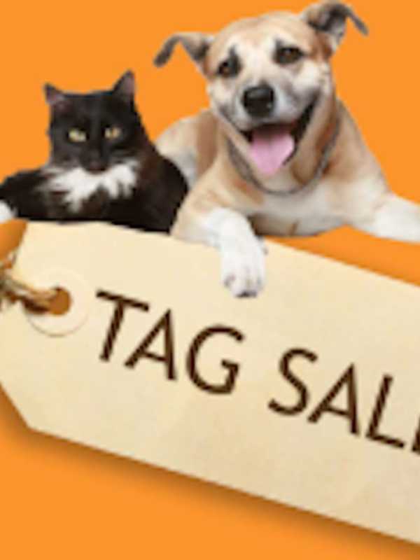 Danbury Animal Welfare Society Hosts Tag Sale