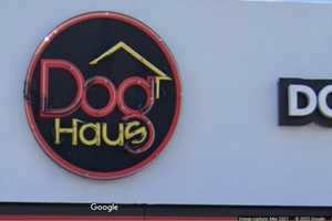 New Northern Westchester Eatery Focuses On Hot Dogs, Sausages, Burgers