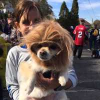 <p>One of the dogs at the Howloween parade.</p>