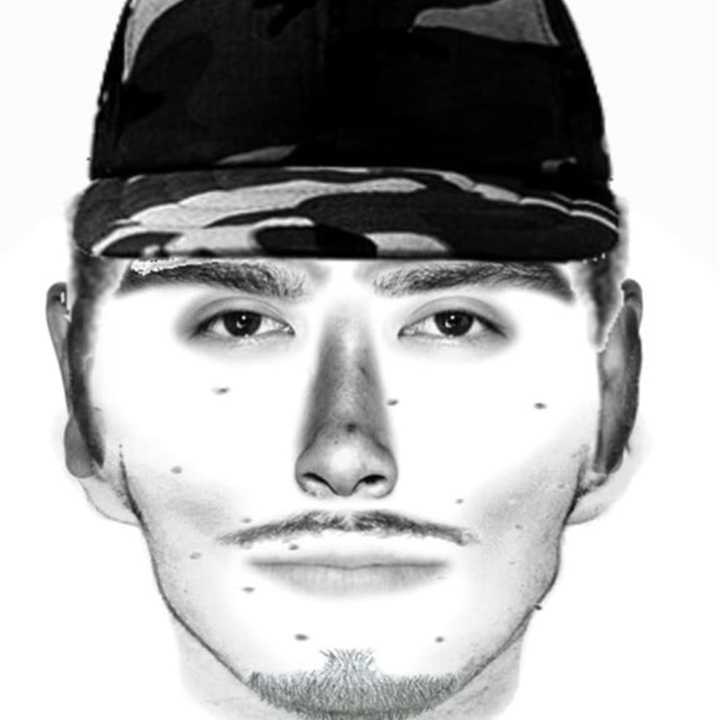 A New York State Police sketch of the suspect.