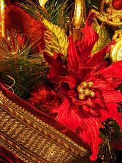 Pomona's Down To Earth Living Holding Holiday Open House