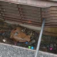 Mother's Day Rescue: Ducklings Pulled From Storm Drain In Hudson Valley, Reunited With Mother