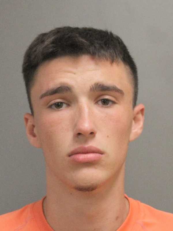 Bethpage Teen Made Sexual Advances Toward Boy, Touched Himself In Front Of Woman, Police Say