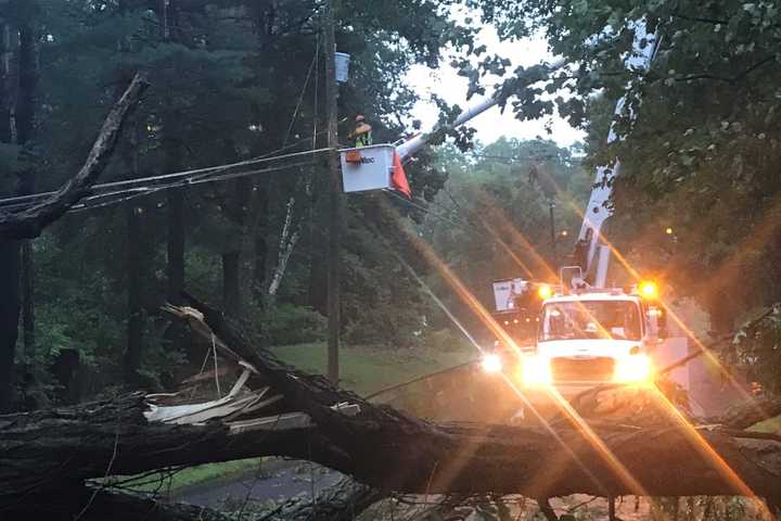 Flash Flooding, Downed Trees During Storm Causes Road Closures In Parts Of Massachusetts