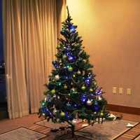 <p>The Bergen Volunteer Medical Initiative tree was very traditional.</p>