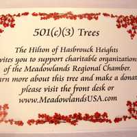 <p>Signage will tell hotel guests and community residents the story of the 501(c) trees.</p>