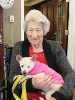 Oakland Shelter Dogs Lift Seniors’ Spirits