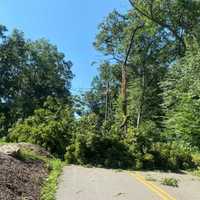 Isaias New Power Outage Update: These Fairfield County Communities Are Most Affected