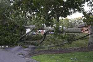 UPDATE: Morris County Worker Killed By Tree Branch