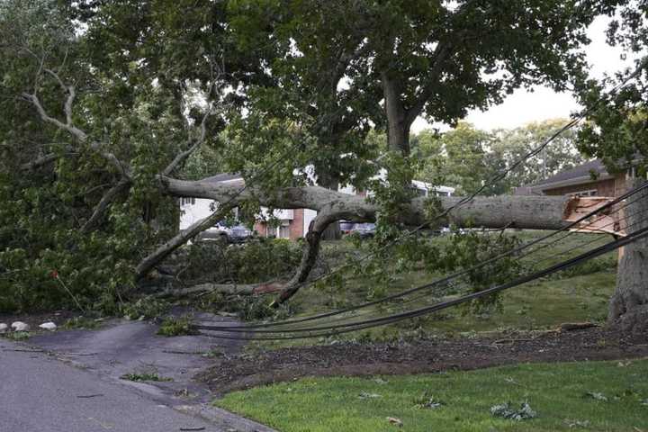 UPDATE: Morris County Worker Killed By Tree Branch