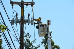 Strong Winds Topple Tree Limbs, Cause Power Outages On Long Island