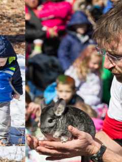 Greenburgh Nature Center Schedules Events As Spring Begins