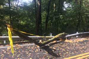 Wind Storm Knocks Out Power In Fairfield County