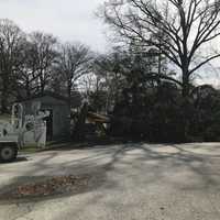<p>Don't necessarily be tempted to chop and saw a downed tree out of your way. Sometimes it's just best to bring in the experts.</p>