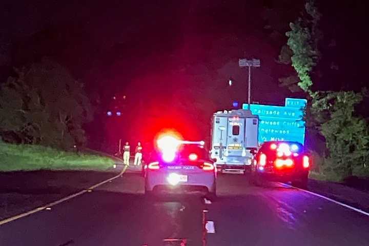 Passenger Killed, Two Women, Infant Sustain Minor Injuries In Palisades Parkway Crash