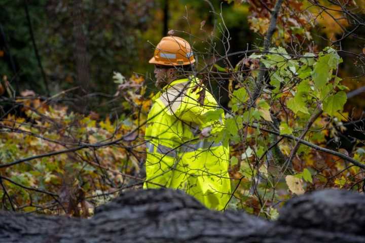 Storm Knocks Out Power To Thousands In Area