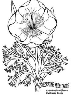 Hackensack's Johnson Library Presents Adult Coloring Club