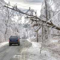 <p>PSEG Long Island responded to multiple outages during the peak of the nor&#x27;easter.</p>