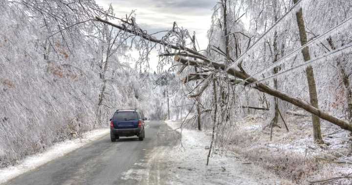 PSEG Long Island responded to multiple outages during the peak of the nor&#x27;easter.