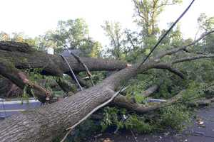 GW Parkway Road Closures Expected To Last For Days Due To Storm Damage (UPDATED)