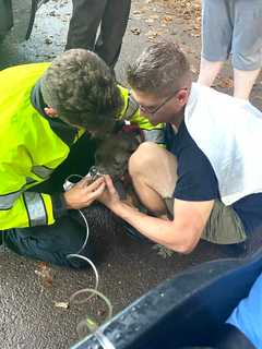 Dog Rescued, Home Destroyed By Lightning Strike In Carroll County (PHOTOS)