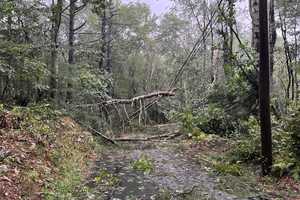 Killingly Tornado Confirmed With 100 MPH Winds, Downing Trees, NWS Says