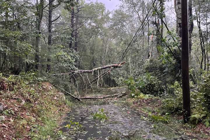 Killingly Tornado Confirmed With 100 MPH Winds, Downing Trees, NWS Says