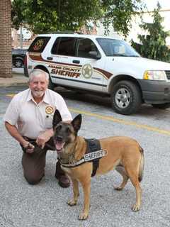 Police K-9 Dies Of Brain Tumor, Adams County Sheriff Mourns Favorite Co-Worker