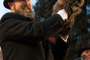 What Was Punxsutawney Phil's Prediction, More Winter Or Is It Time For Spring? (VIDEO)